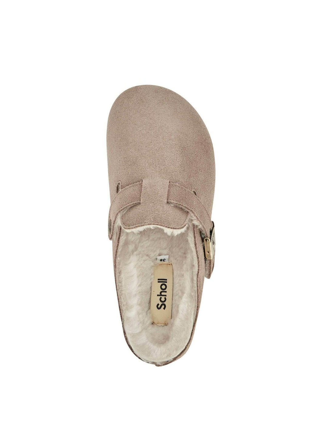 Scholl GRACE