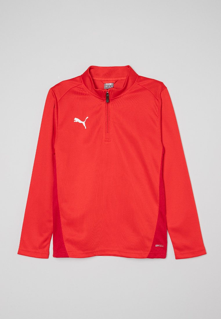 Puma TEAMGOAL