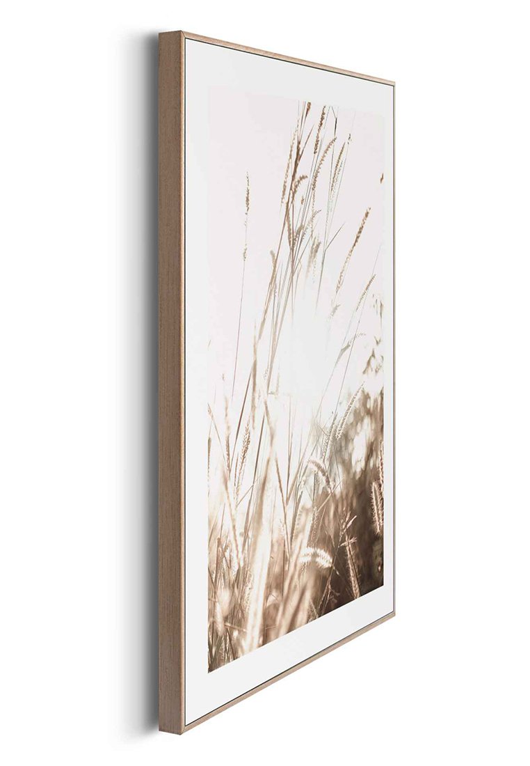Orange Wallz SUMMER NATURE 3 PACK