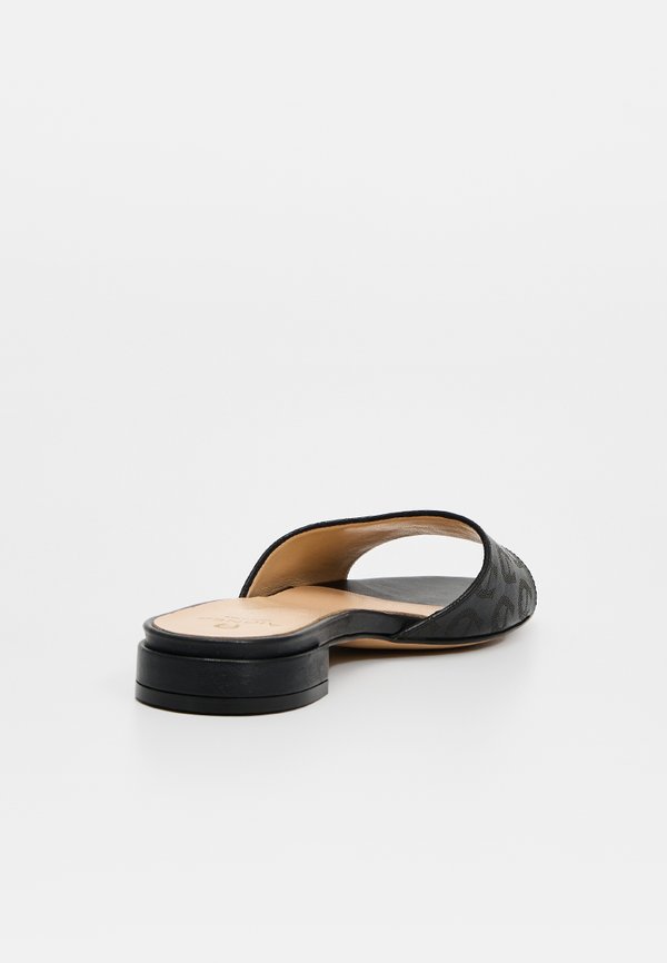AIGNER LEONORA