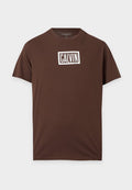 Calvin Klein Jeans BOXED GRAPHIC - Print T-shirt - brown cork