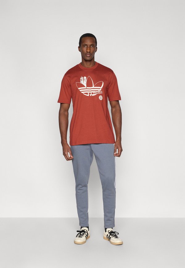 adidas Performance FC BAYERN SEASONAL GRAPHIC TEE