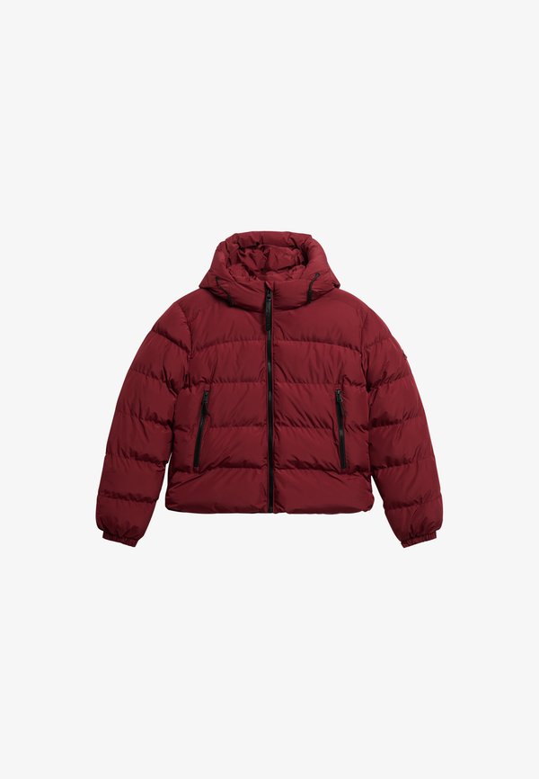 Superdry & Co SUPERDRY HOODED SPORTS PUFFER JACKET.. - Winter jacket - stanton red