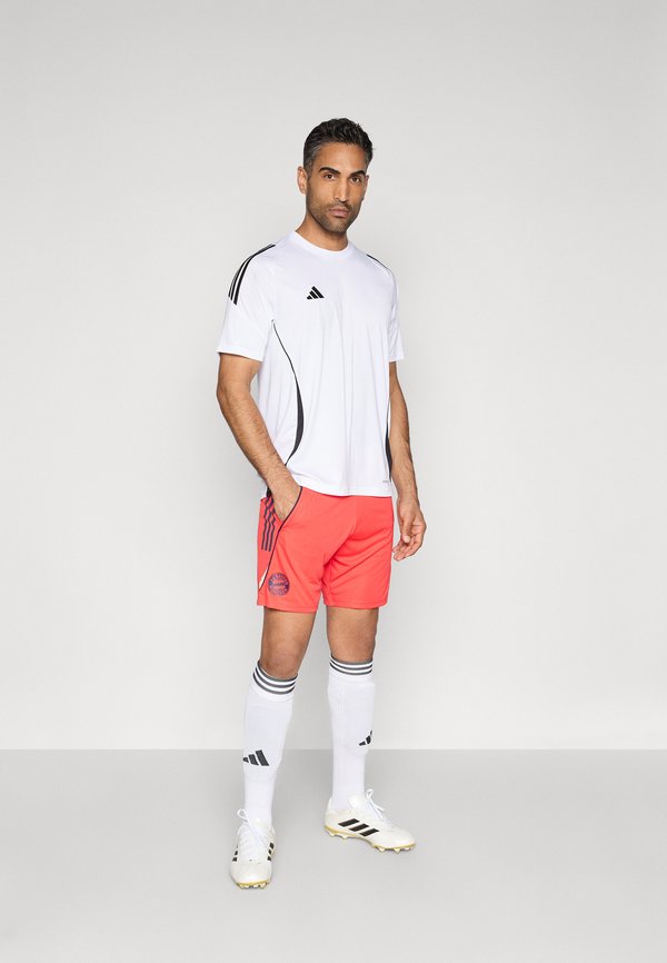 adidas Performance FC BAYERN TRAINING SHORTS