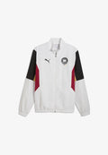 Puma DEUTSCHER HANDBALLBUND ARCHIVE - Training jacket - feather gray