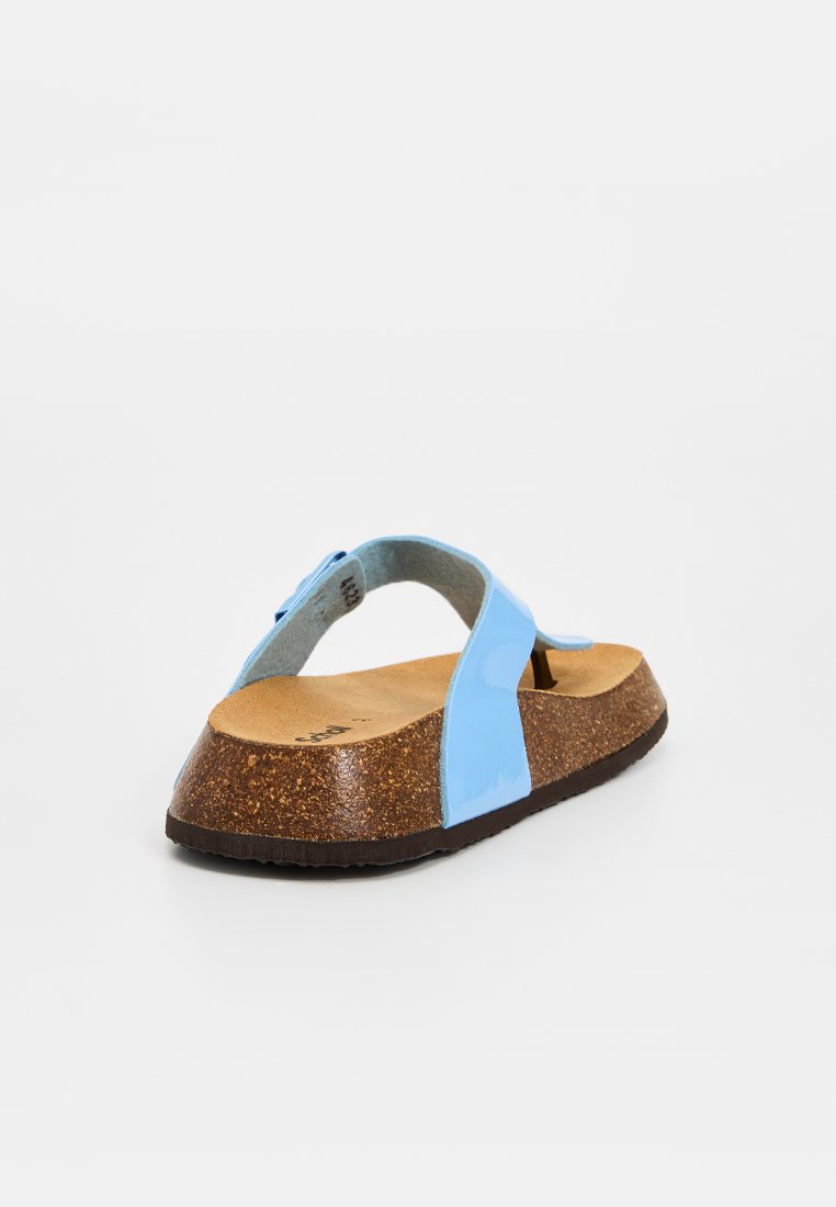 Scholl ANAIS