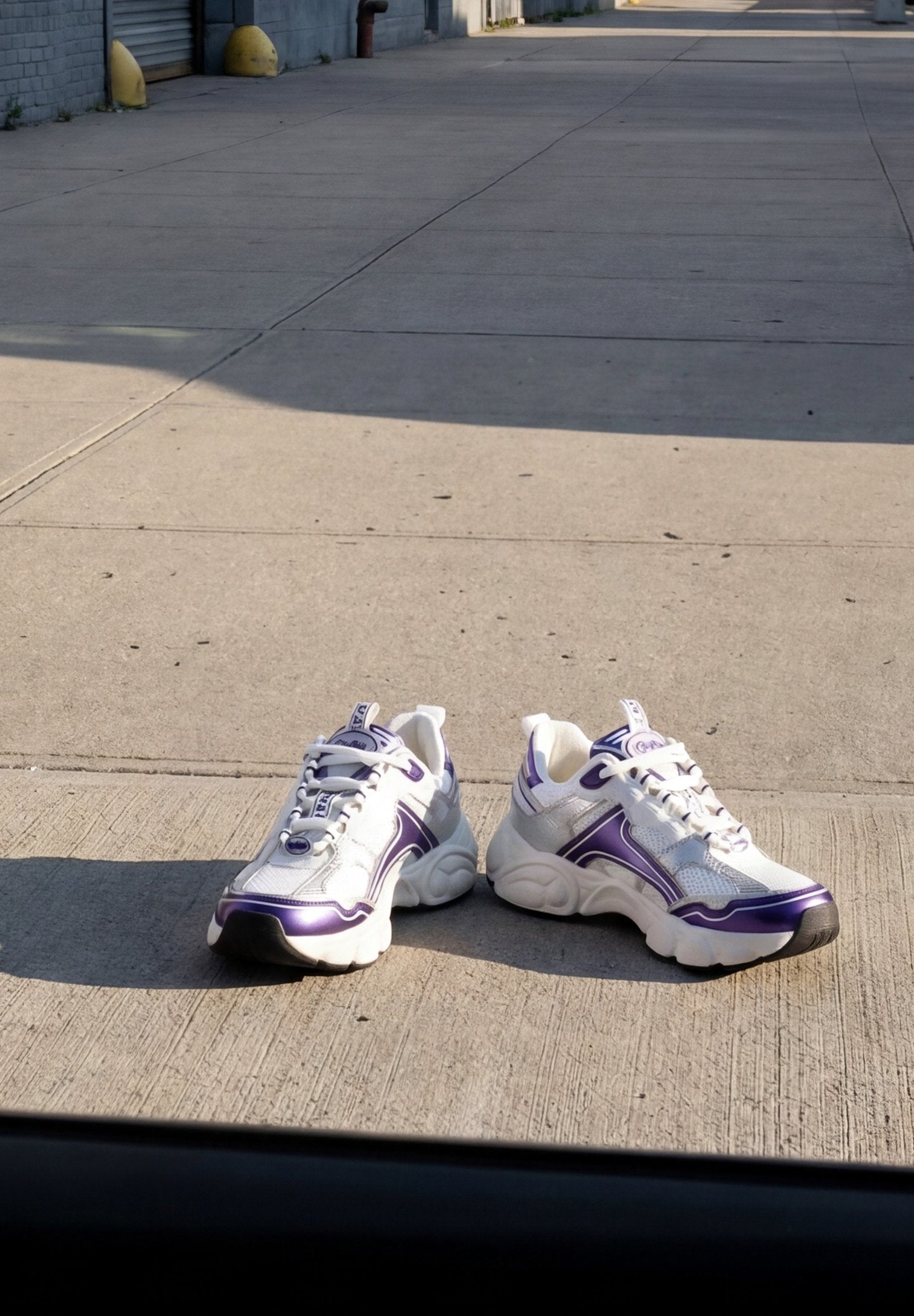 Buffalo JOG