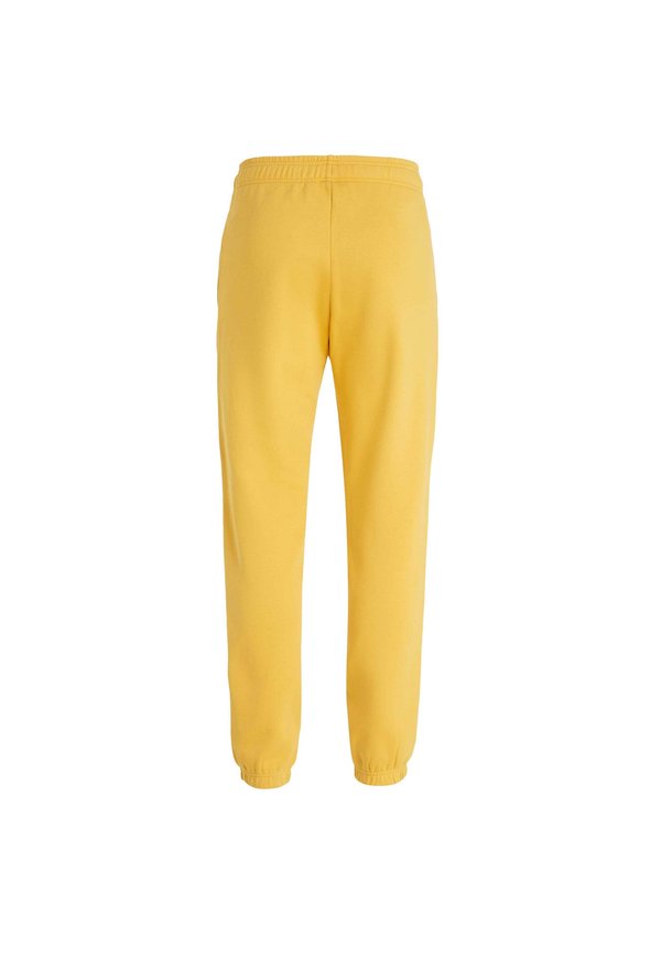 O'Neill FUTURE SURF SOCIETY JOGGER