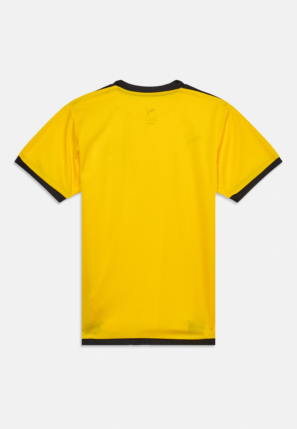 Puma TEAMLIGA