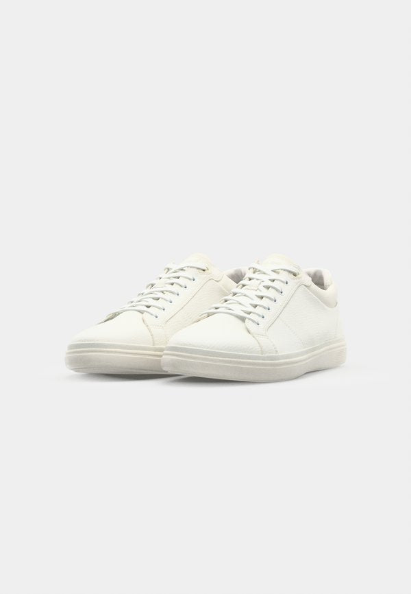 ALDO