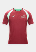 Puma SWITZERLAND SFV TRAINING  - National team wear - team regal red/green glimmer