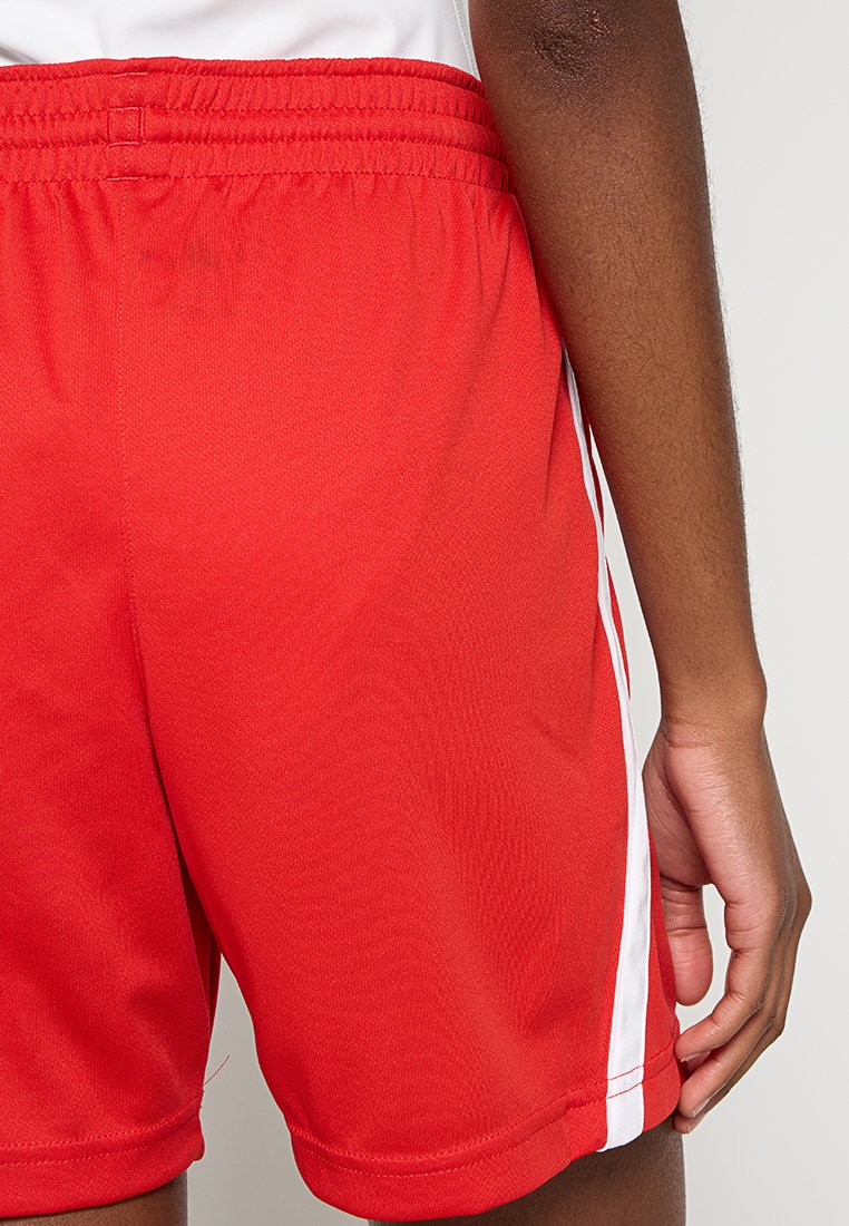 Nike Performance
