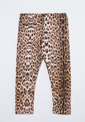 Roberto Cavalli Junior