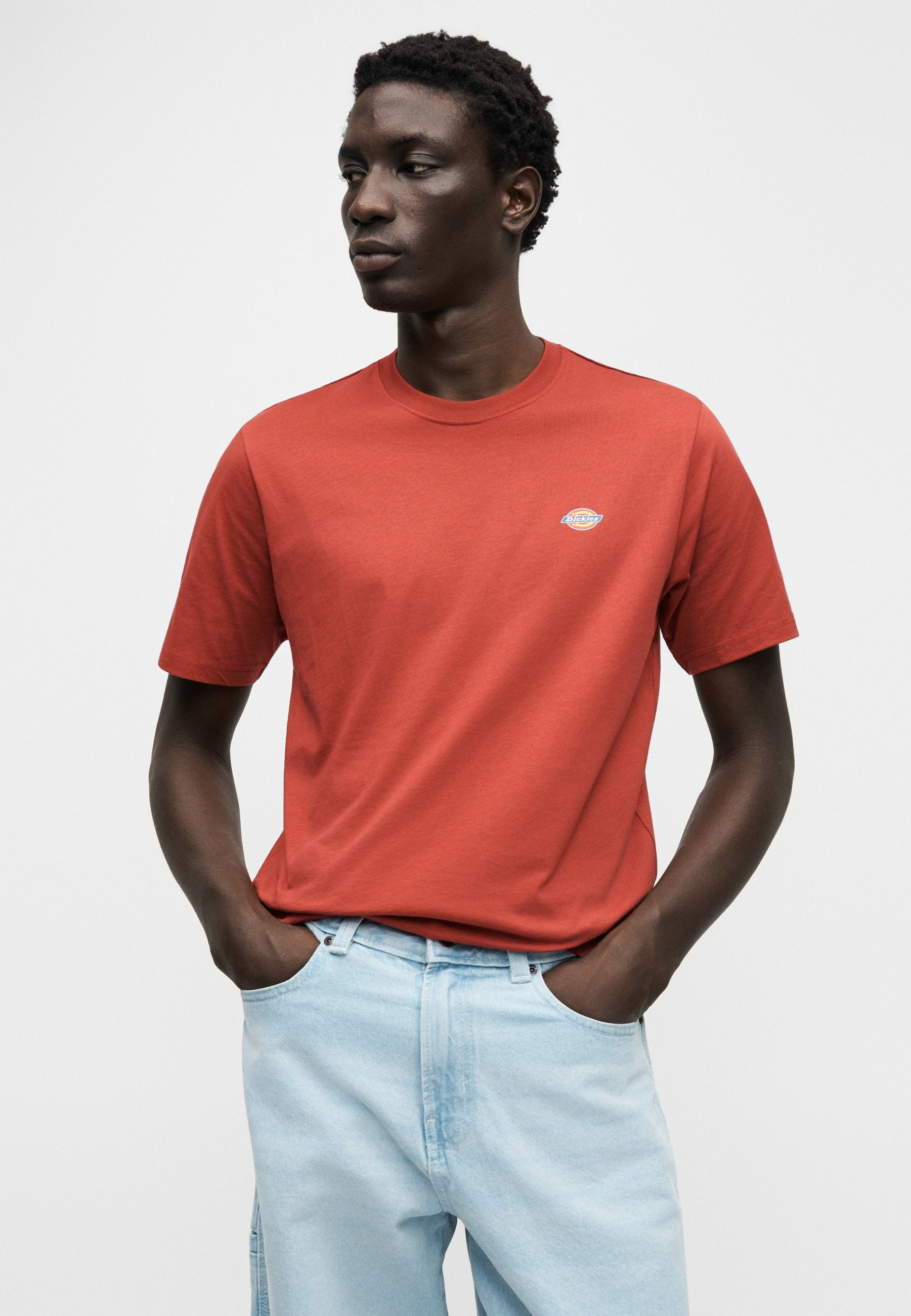 Dickies TAPERED WORK