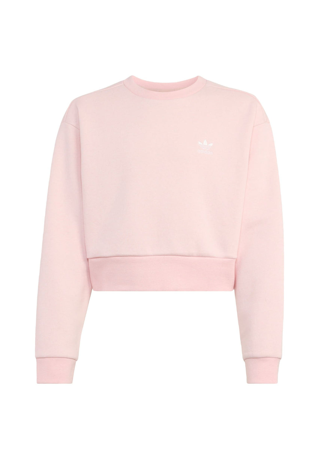 BOXY CREW  Media 1