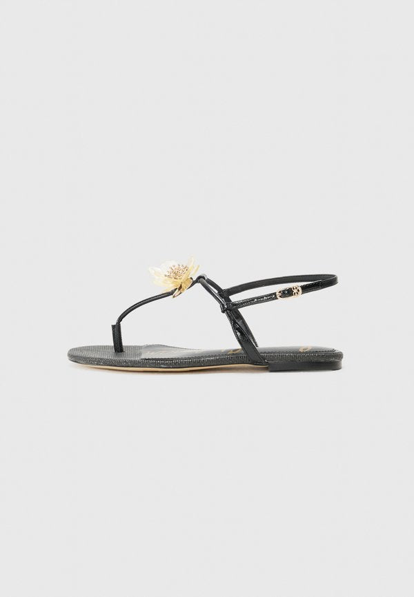 Sam Edelman EDEN
