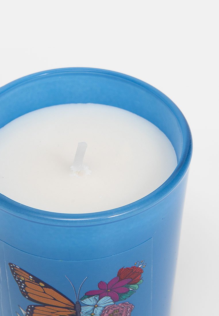 Candle-Lite KAHLO 3 PACK