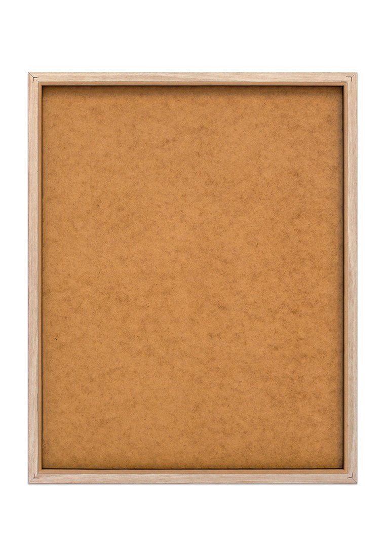 Orange Wallz FEMALE PUG