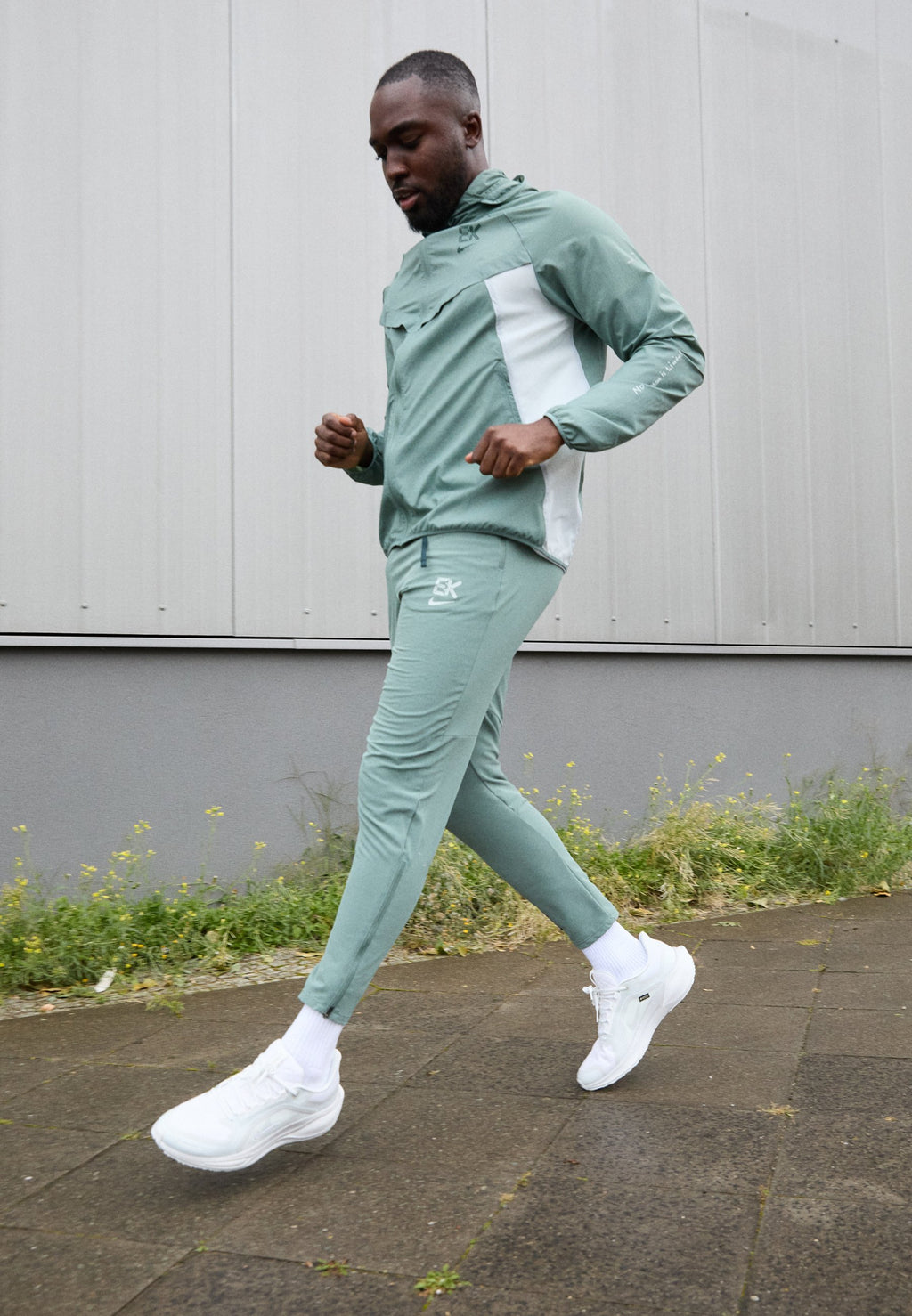 Nike Performance PEGASUS 41 GTX