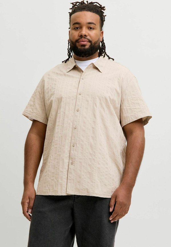 Jack & Jones SHIRT SHIRT PLUS SIZE - Shirt - feather gray