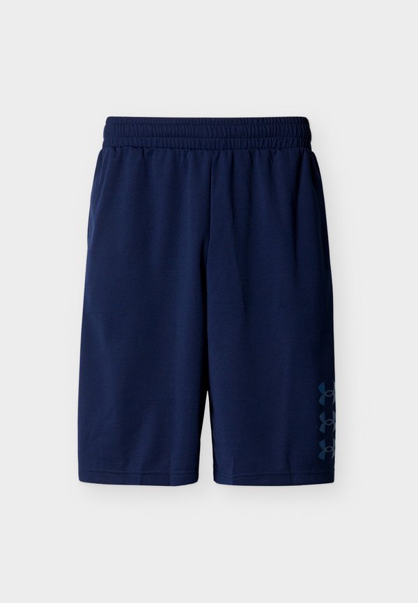 Under Armour NEXT GEN - Sports shorts - academy/varsity blue