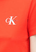 Calvin Klein Jeans MONOLOGO TEE 2 PACK