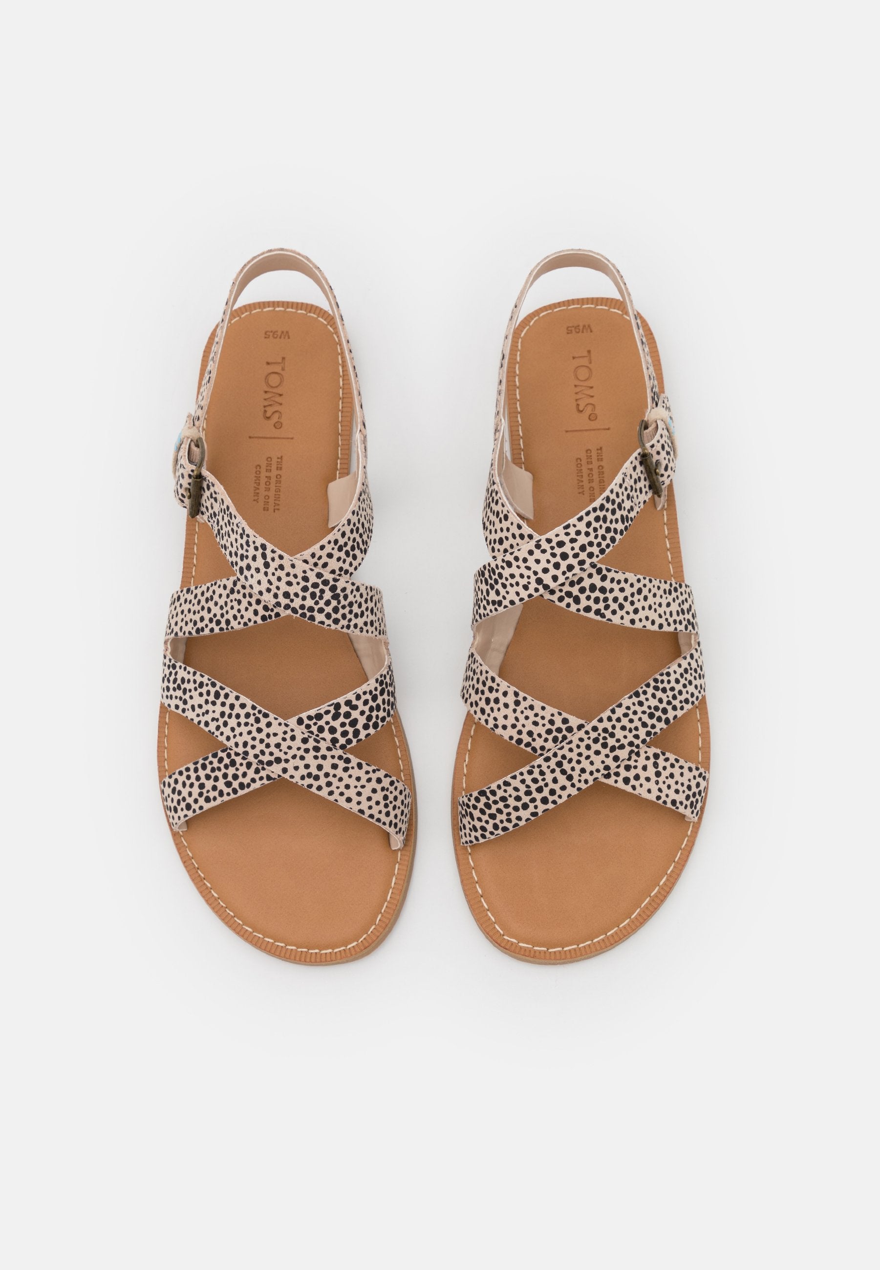 TOMS SICILY