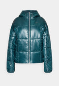 Nike Sportswear Winter jacket - deep jungle/metallic silver
