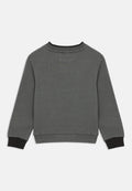 U.S. Polo Assn.