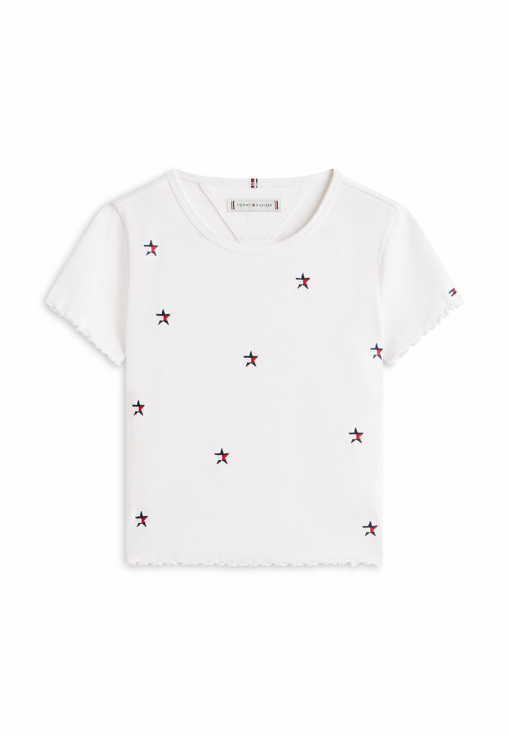 STAR FLAG EMBROIDERY EXTRA Media 1