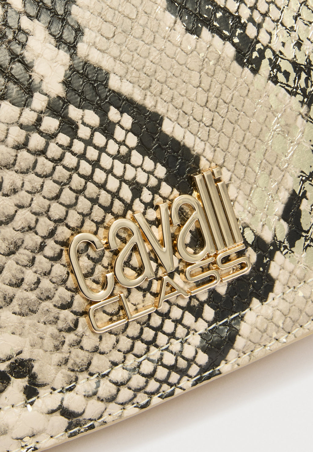 Cavalli Class VANESSA