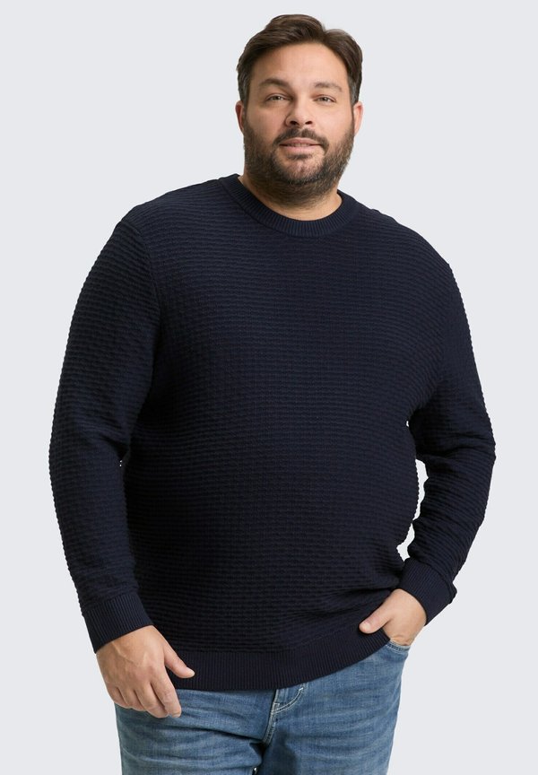 TOM TAILOR PLUS SIZE MIT RUNDHALSAUSSCHNITT - Jumper - sky captain blue