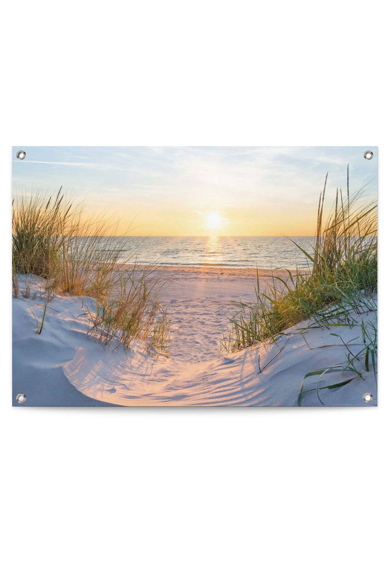 Orange Wallz EVENING DUNES