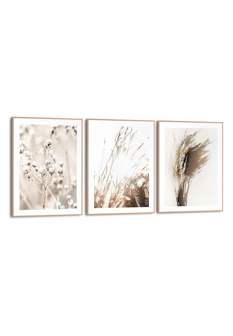 Orange Wallz SUMMER NATURE 3 PACK