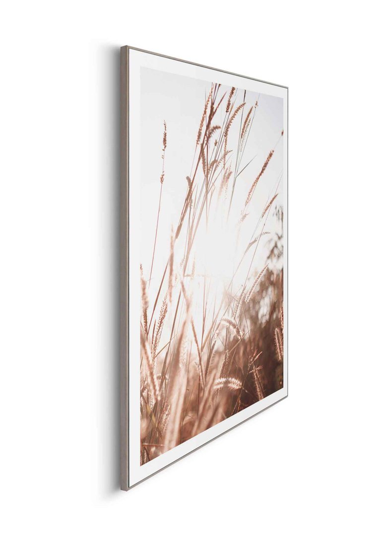 Orange Wallz SUNLIGHT GRASSES