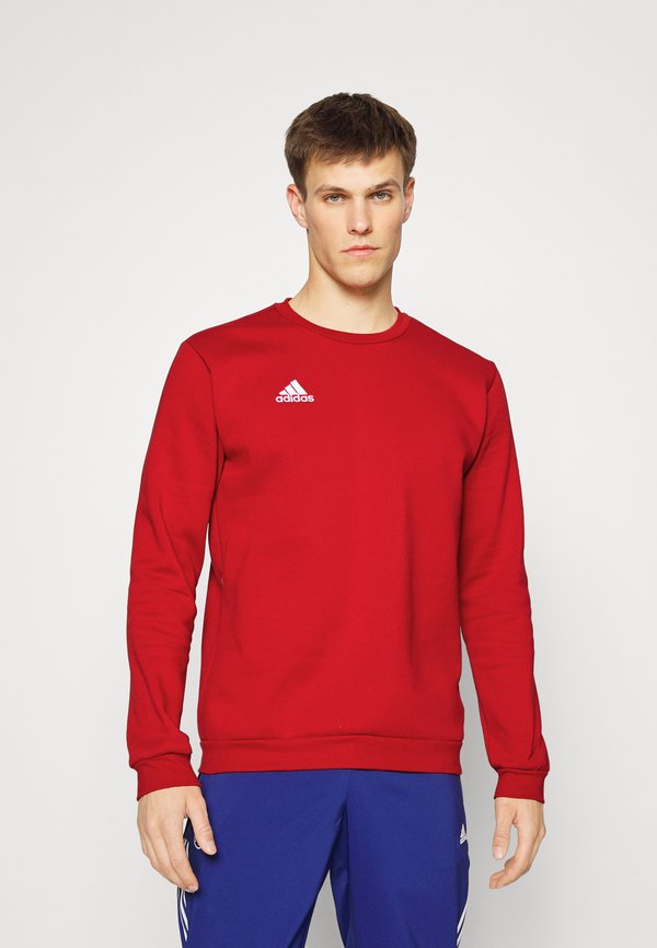 adidas Performance ENTRADA22 SWEAT TOP - Sweatshirt - tepore