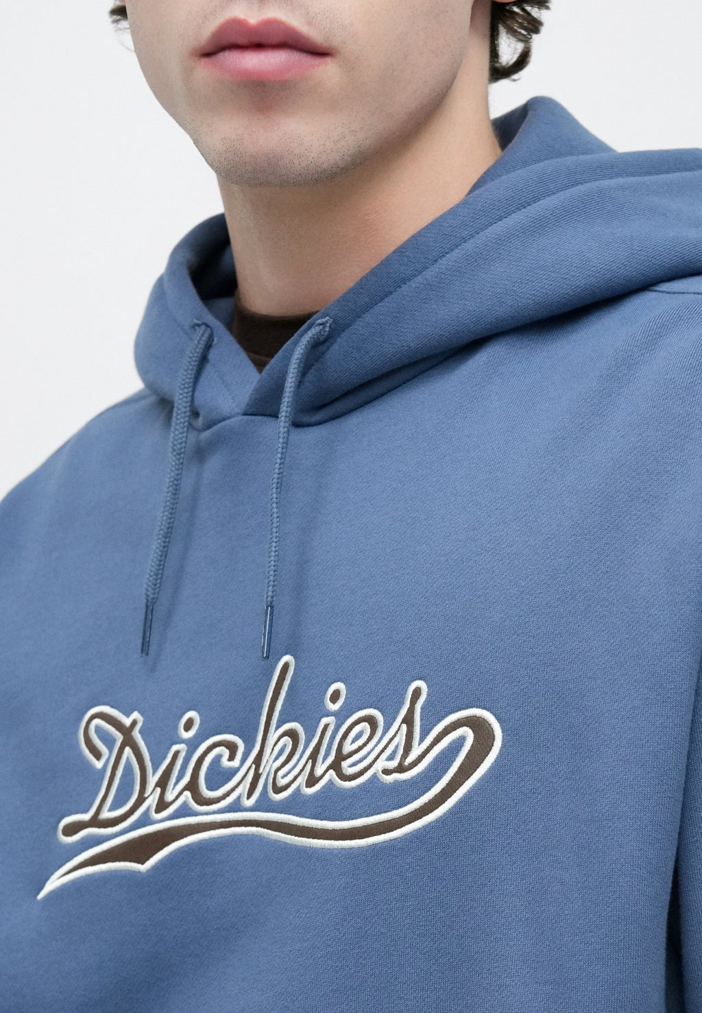 Dickies LOOSE WAVE HOODIE