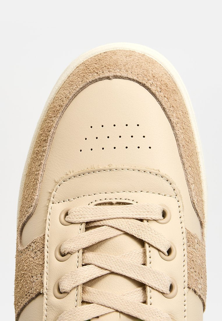 TOMS