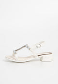 Scholl PANAREA