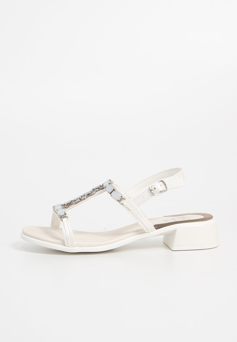 Scholl PANAREA