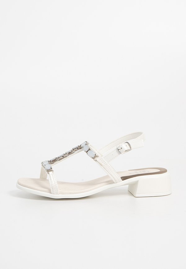 Scholl PANAREA