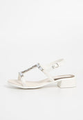 Scholl PANAREA