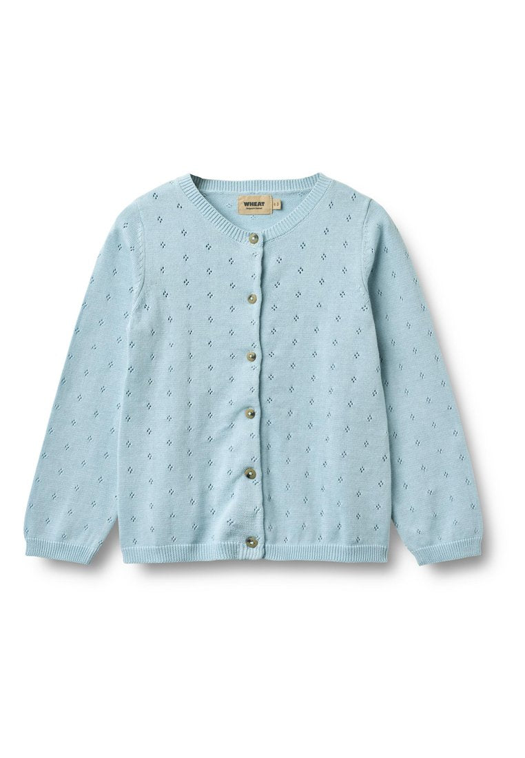 Hellblauer Strickcardigan mit rundem Ausschnitt, langen Ärmeln und Knopfleiste. Verfügt über ein strukturiertes Muster sowie gerippte Bündchen und Saum.