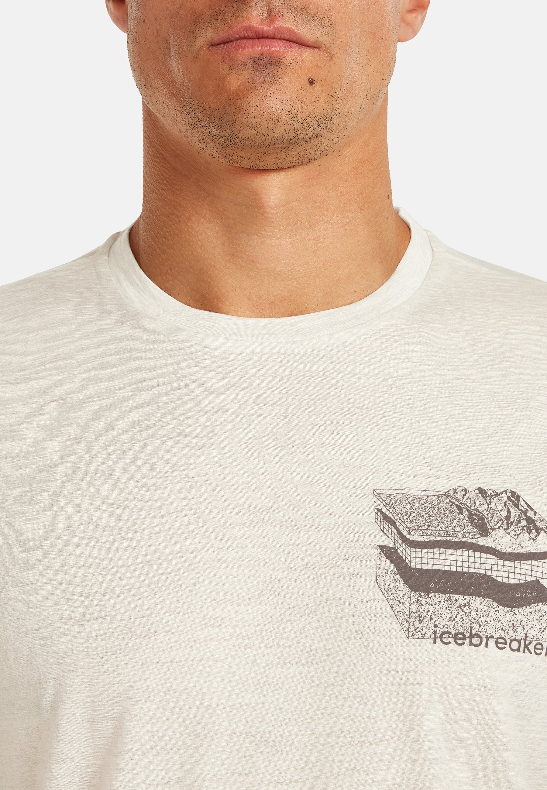 icebreaker M MER 150 TECH LITE SS TEE EVOLVING LAY