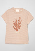 Scotch & Soda