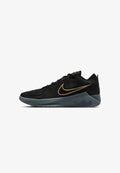 Nike Performance LEBRON WITNESS IX - Basketball shoes - black iron grey dark smoke grey black