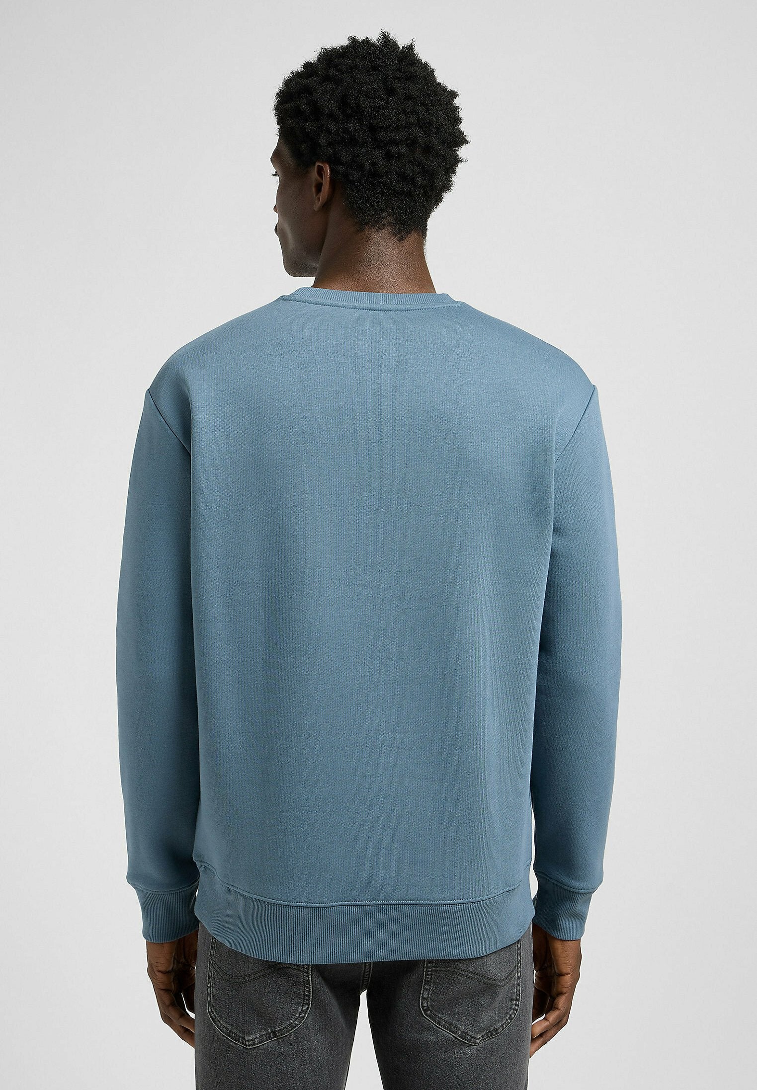 Lee LONG SLEEVE CORE REGULAR FIT
