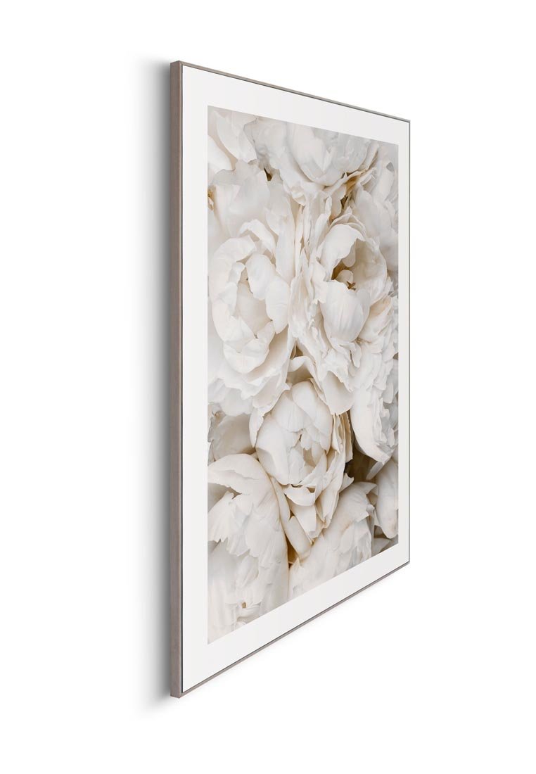 Orange Wallz BED OF WHITE ROSES