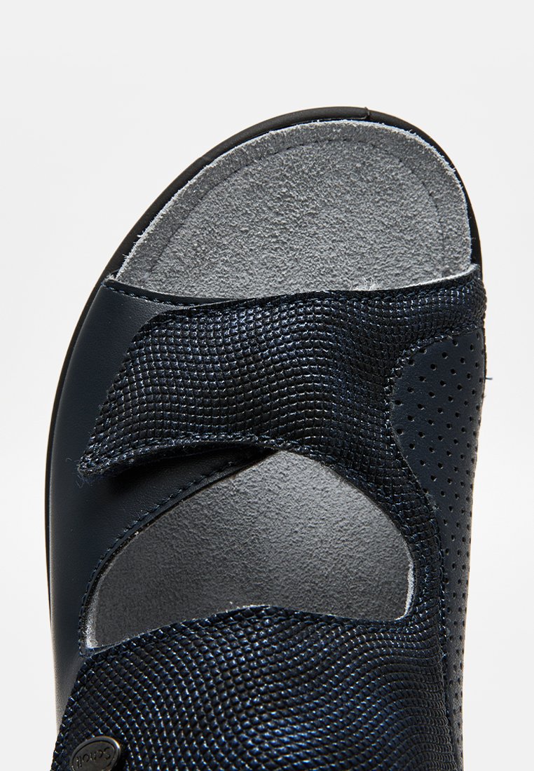 Scholl ANTONIA
