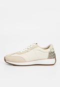 TOMS WYNDON